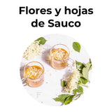 Infusión de flores y hojas de sauco, planta tradicional utilizada para fortalecer el sistema inmune y aliviar síntomas de resfriado.