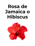 Flor de hibisco de color rojo intenso, conocida como Rosa de Jamaica o flor de Jamaica