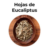 Hojas de eucaliptus secas para infusión natural, planta aromática conocida por apoyar el bienestar respiratorio y aportar un aroma fresco y herbal.
