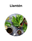 Antiinflamatorio y digestivo | LLANTÉN