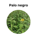 Planta de palo negro utilizada en infusiones naturales, reconocida en la herbolaria tradicional por sus propiedades depurativas y de bienestar.