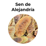 Sen de Alejandría seco para infusión natural, planta utilizada tradicionalmente en herbolaria para apoyar el tránsito digestivo.
